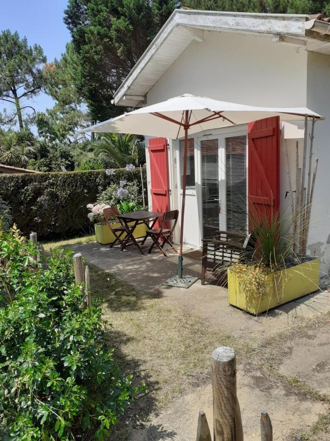 Maisonnette Proche De La Plage Tarnos Eksteriør billede